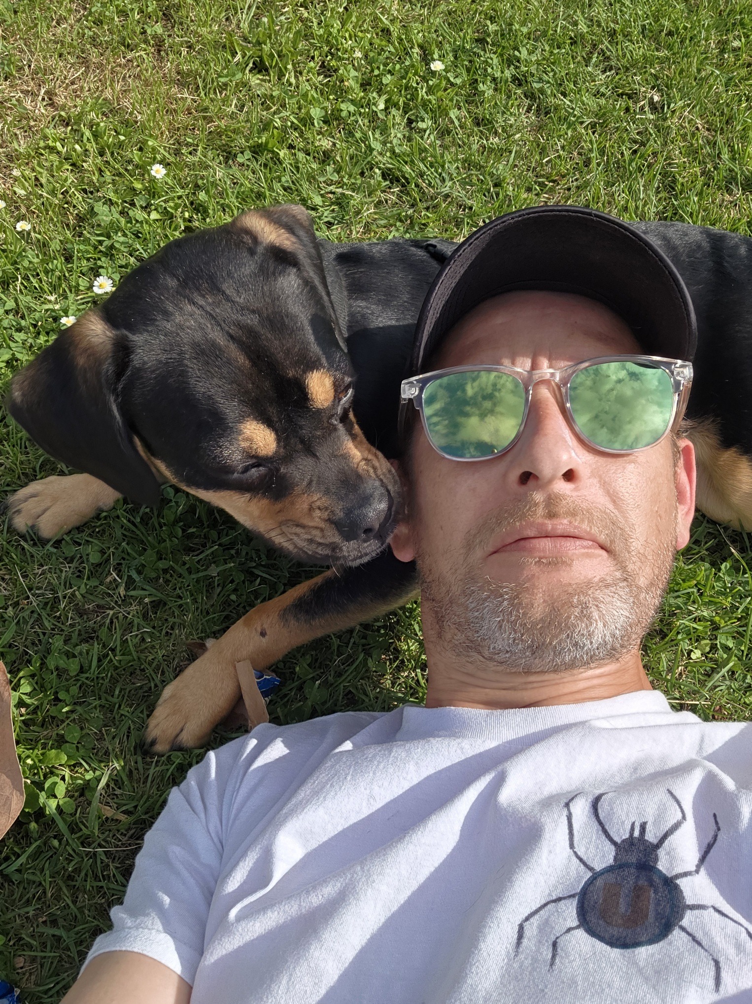 Teddy - Beauraing - Namur | Rencontre